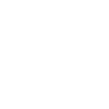 icone-facebook