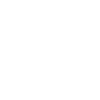 icone-insta