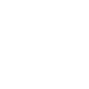 icone-tiktok icone-tiktok